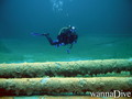 scuba diving photo