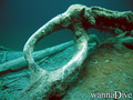 scuba diving photo