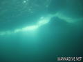 scuba diving photo
