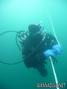 scuba diving photo