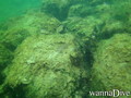 scuba diving photo