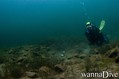 scuba diving photo