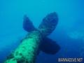 scuba diving photo