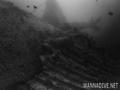 scuba diving photo
