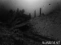 scuba diving photo