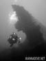 scuba diving photo