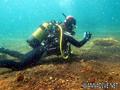 scuba diving photo