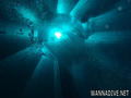 scuba diving photo