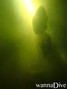 scuba diving photo