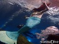 scuba diving photo