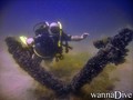 scuba diving photo