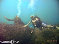 scuba diving photo