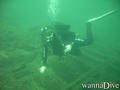 scuba diving photo