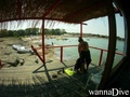 scuba diving photo