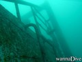 scuba diving photo