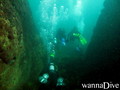 scuba diving photo