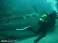 scuba diving photo