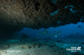 scuba diving photo