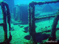 scuba diving photo