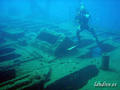 scuba diving photo