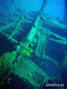 scuba diving photo