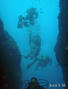 scuba diving photo