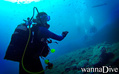 scuba diving photo