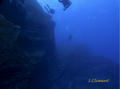 scuba diving photo