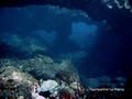 scuba diving photo