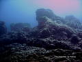 scuba diving photo