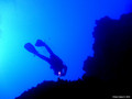 scuba diving photo