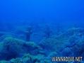 scuba diving photo