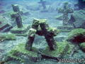 scuba diving photo