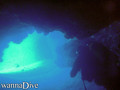 scuba diving photo