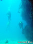 scuba diving photo