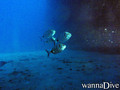 scuba diving photo