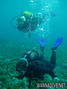 scuba diving photo