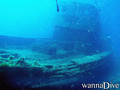 scuba diving photo