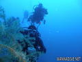 scuba diving photo