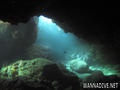 scuba diving photo