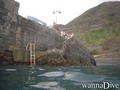 scuba diving photo