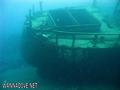 scuba diving photo