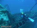 scuba diving photo