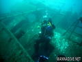 scuba diving photo