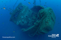 scuba diving photo