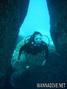 scuba diving photo
