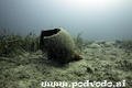 scuba diving photo