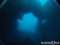 scuba diving photo