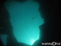 scuba diving photo