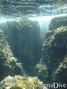 scuba diving photo